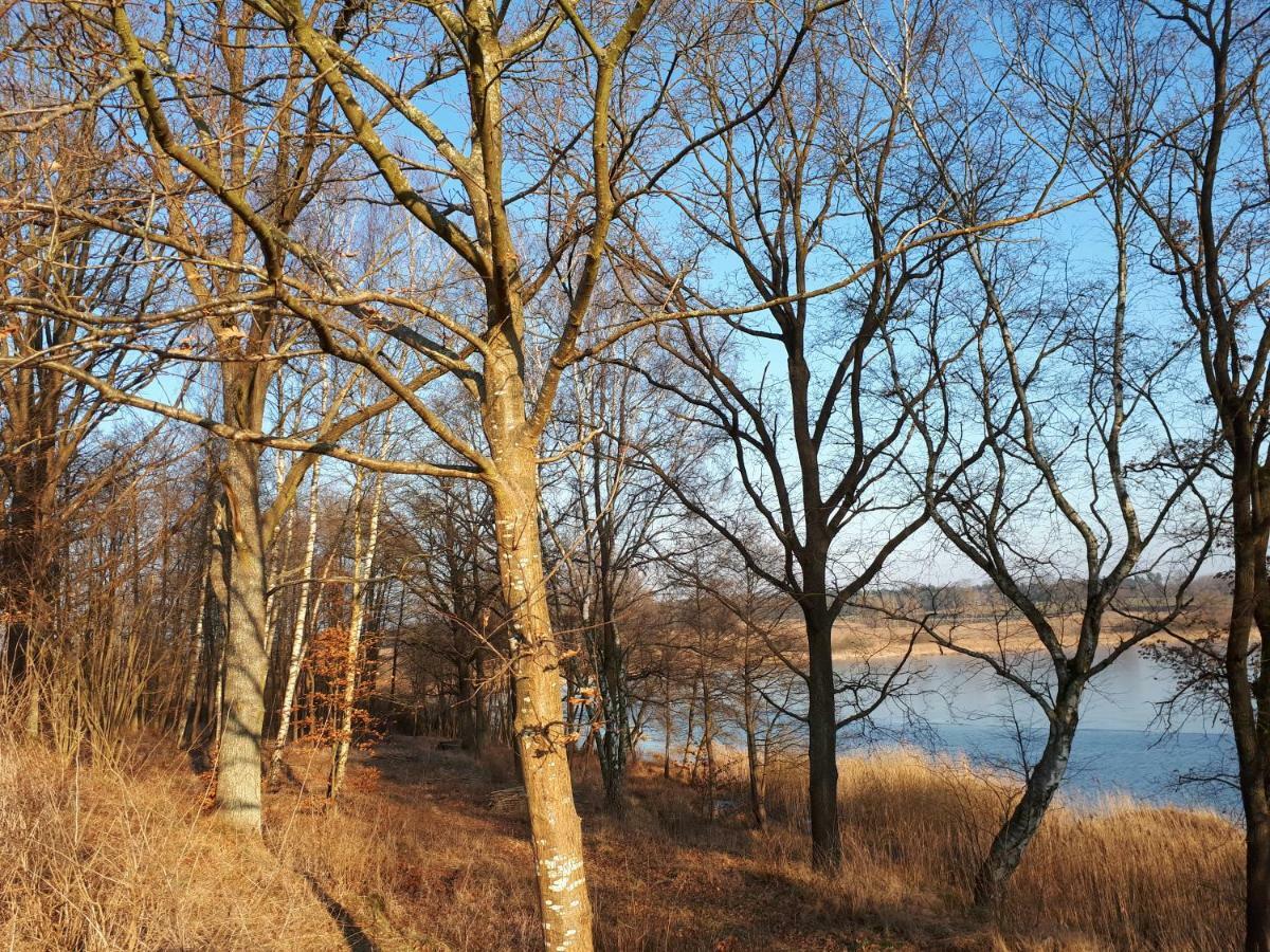 Labadkowo Villa Labedzie Екстериор снимка