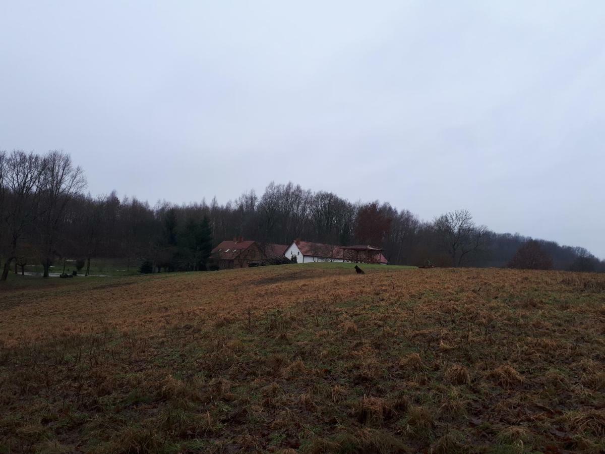 Labadkowo Villa Labedzie Екстериор снимка